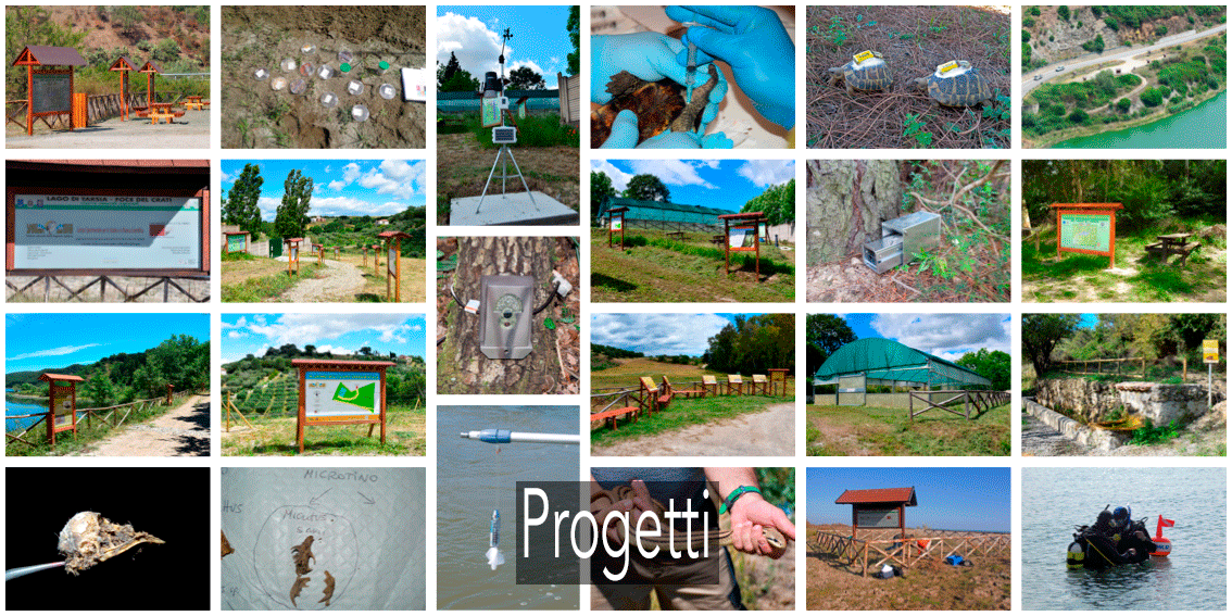 FOTO-SEZIONE-PROGETTI FOTO-SEZIONE-PROGETTI