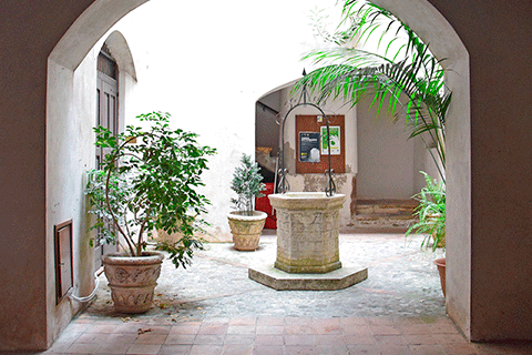 Ingresso