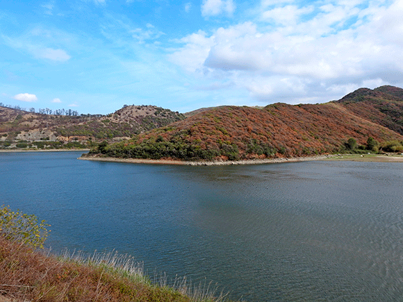Lago-Tarsia - Macchia mediterranea