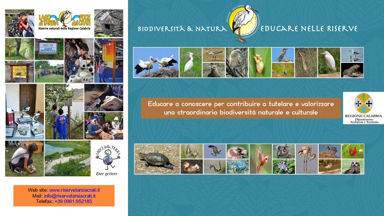 Biodiversità e educazione Biodiversità e educazione