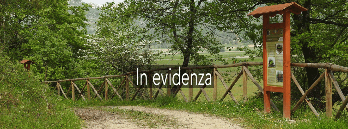 Riserva-Lago-Tarsia---Area-attrezzata-DSCN0461