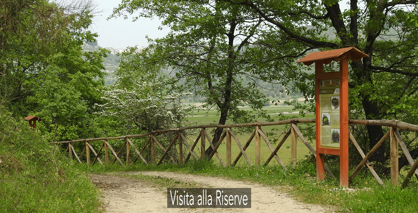 Visita-alle-riserve Visita-alle-riserve