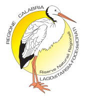 logo centrale-2023