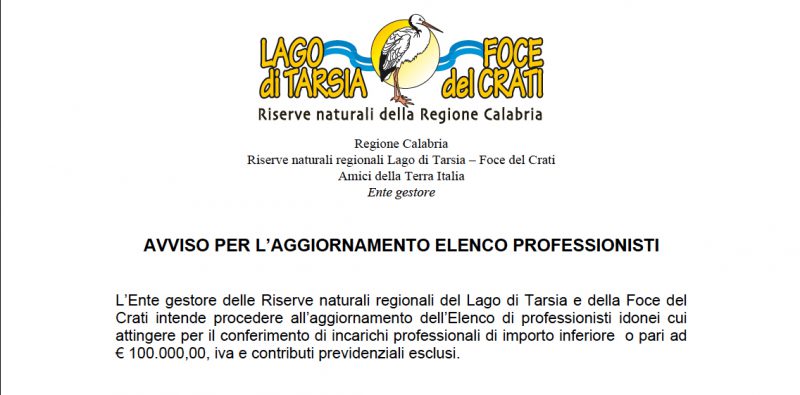 professionisti professionisti