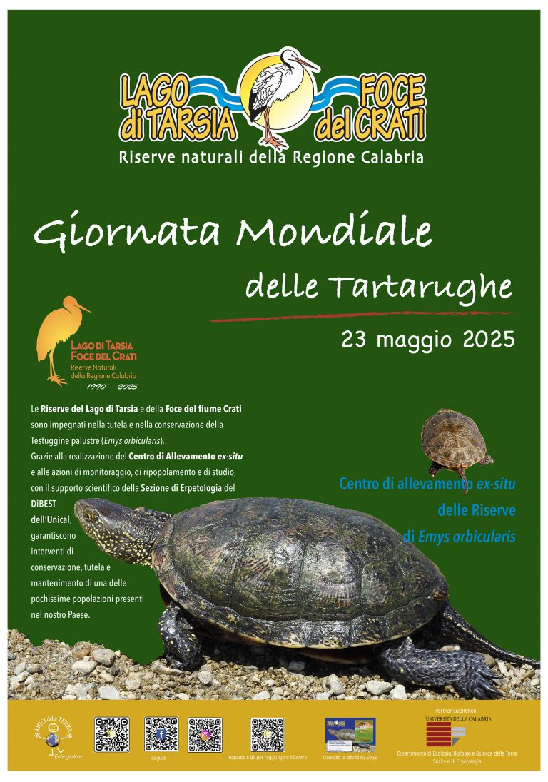 Scopri di più sull'articolo 23 maggio Giornata Mondiale delle Tartarughe