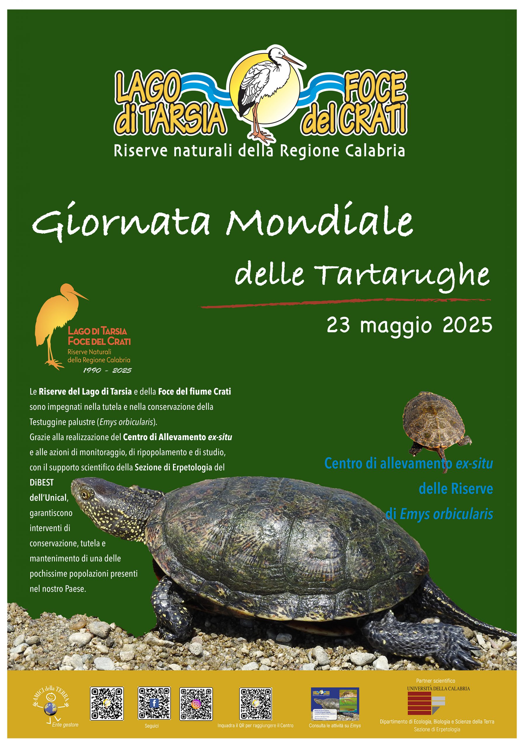 Al momento stai visualizzando 23 maggio Giornata Mondiale delle Tartarughe