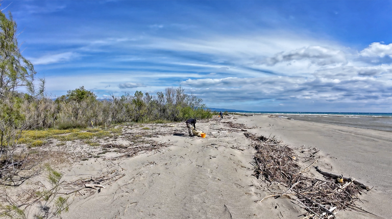 Scopri di più sull'articolo Beach litter – Report 2025