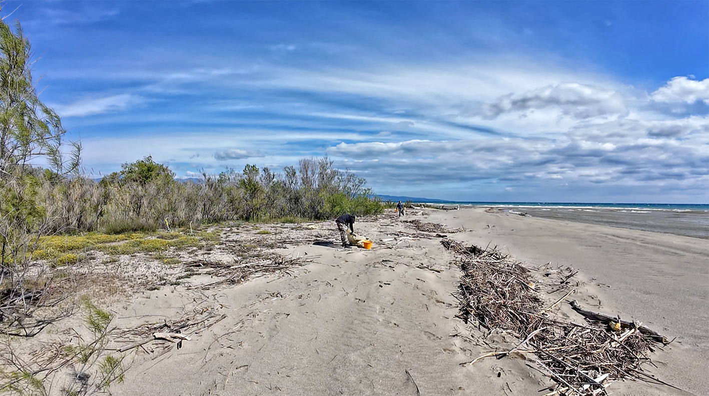 Al momento stai visualizzando Beach litter – Report 2025