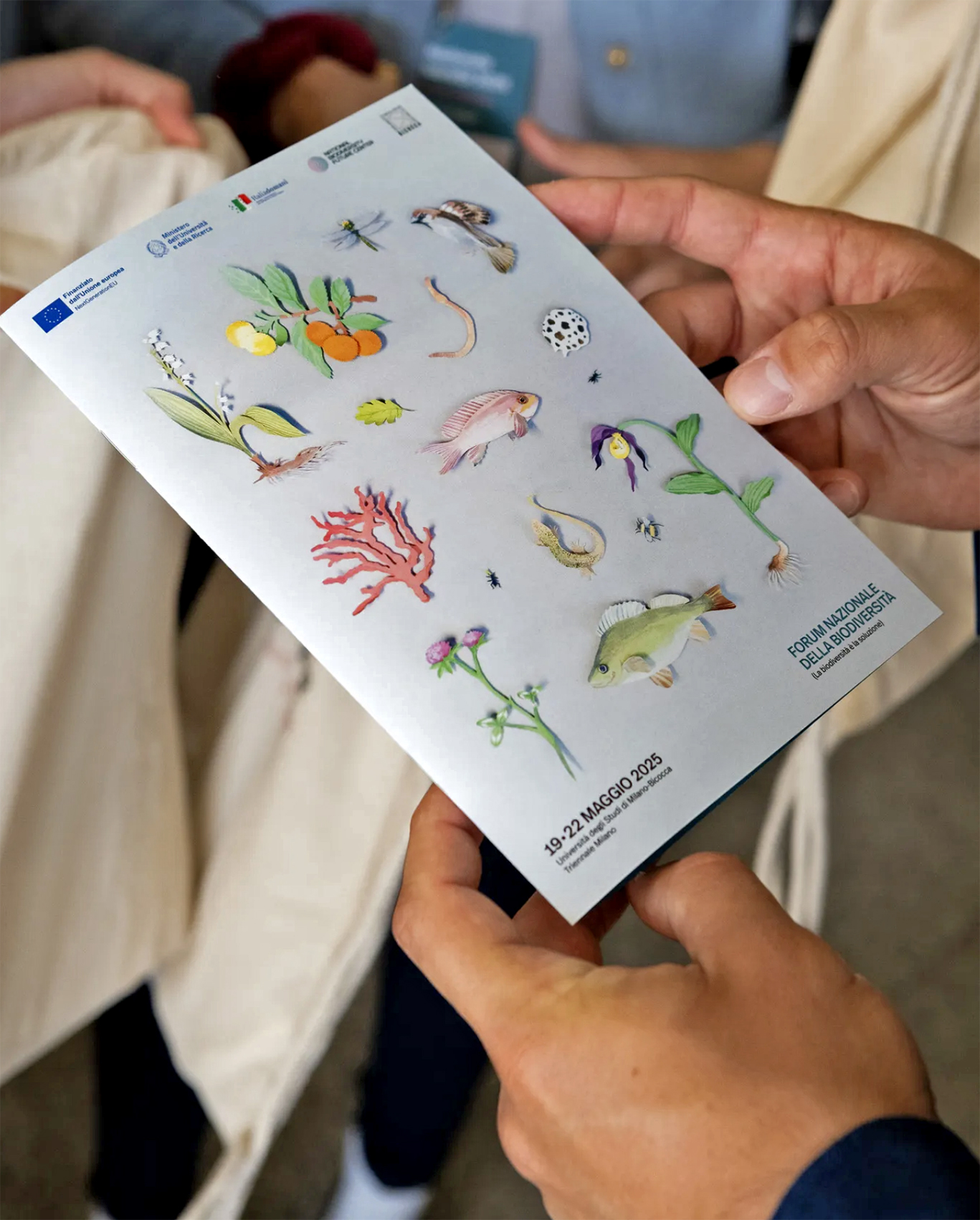 Al momento stai visualizzando Forum Nazionale della Biodiversità 2025
