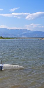 Avviato il programma di monitoraggio sulle micro-plastiche di fiume nella Riserva Foce del fiume Crati￼