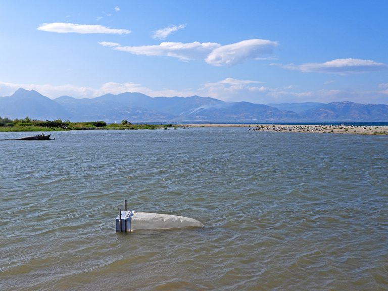 Scopri di più sull'articolo Avviato il programma di monitoraggio sulle micro-plastiche di fiume nella Riserva Foce del fiume Crati￼