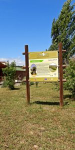 RISERVE NATURALI TARSIA/CRATI, REPORT 2025