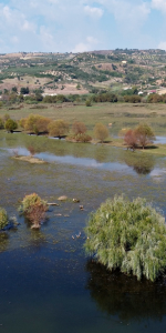 Giornata Mondiale dell’Acqua e Giornata Internazionale delle Foreste nelle Riserve del Lago di Tarsia e della Foce del fiume Crati