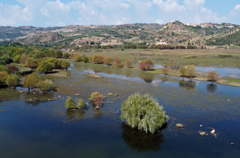 Scopri di più sull'articolo Giornata Mondiale dell’Acqua e Giornata Internazionale delle Foreste nelle Riserve del Lago di Tarsia e della Foce del fiume Crati