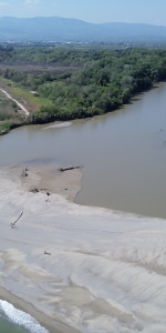 Rilasciati nella Riserva Foce del fiume Crati un Fenicottero e un Gheppio