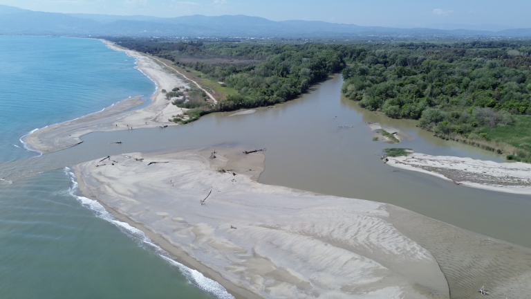 Scopri di più sull'articolo Rilasciati nella Riserva Foce del fiume Crati un Fenicottero e un Gheppio