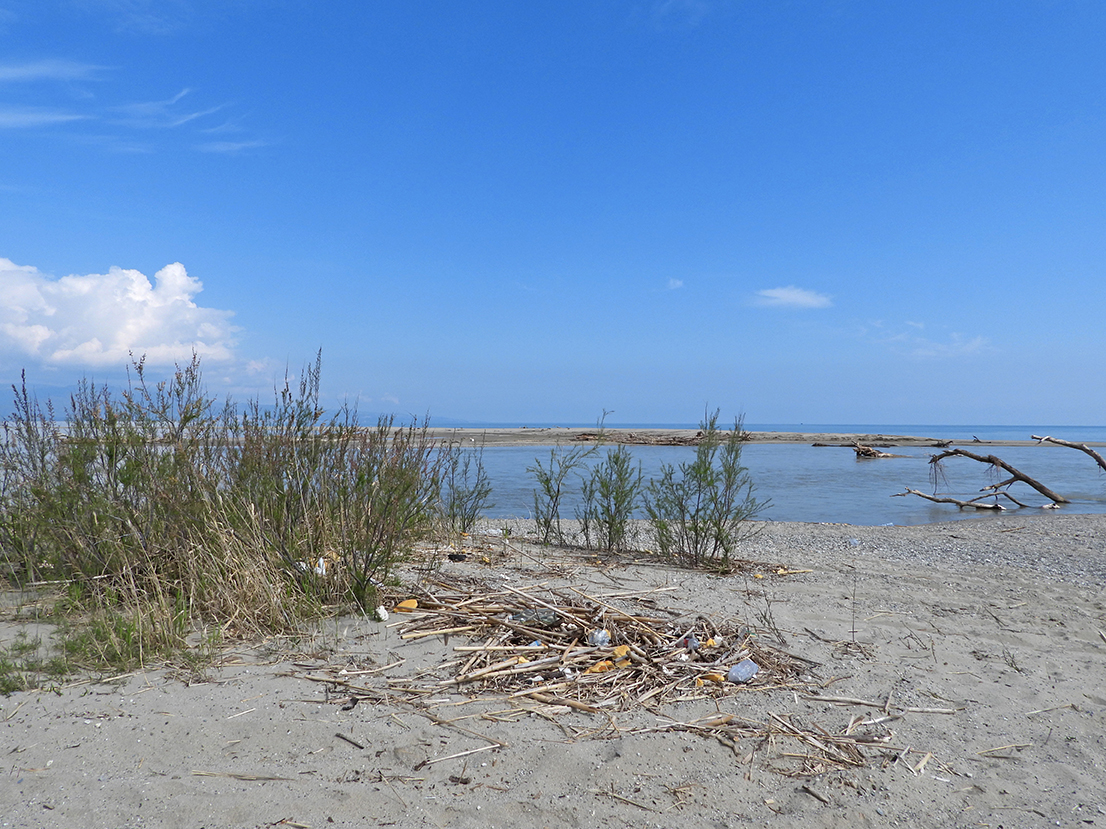 Al momento stai visualizzando Rimozione del beach litter & Attività di ricerca dell’impatto ambientale sulla biodiversità e sugli habitat della Riserva e della ZSC Foce del fiume Crati”.
