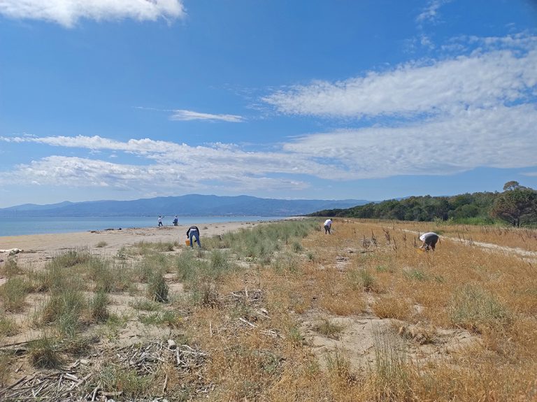 Scopri di più sull'articolo Rimozione Bio Plastic Blitz nella Riserva e ZSC Foce del fiume Crati