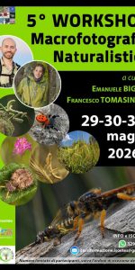 RISERVE FOCE CRATI E LAGO TARSIA, DOMENICA 31 SI CHIUDE 5° WORKSHOP MACROFOTOGRAFIA NATURALISTICA. EVENTO PROMOSSO DA UNICAL CON BIGGI E TOMASINELLI E PATROCINATO DALLE RISERVE