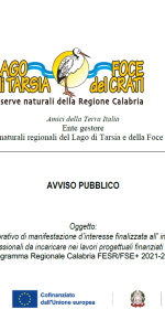 AVVISO ESPLORATIVO DI MANIFESTAZIONE D’INTERESSE PER L’INDIVIDUAZIONE DI FIGURE PROFESSIONALI
