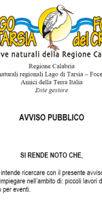 Avviso pubblico personale disponibile a svolgere prestazioni lavorative occasionali