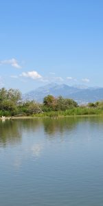 Monitoraggio delle acque della Foce del Crati: confermato il buono stato ecologico dell’ecosistema￼