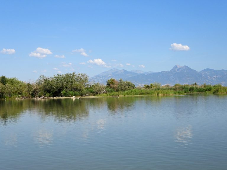 Scopri di più sull'articolo Monitoraggio delle acque della Foce del Crati: confermato il buono stato ecologico dell’ecosistema￼