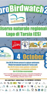 Anche l’edizione 2026 di Eurobirdwatch si terrà presso la Riserva naturale regionale del Lago di Tarsia￼