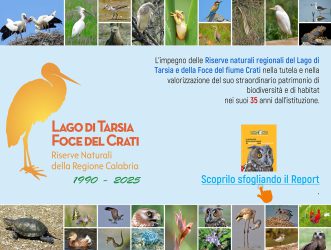 COP. 35 ANNI-8.-1jpg