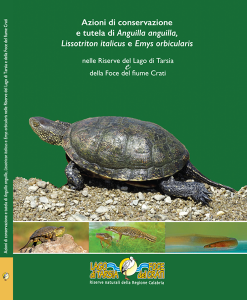 COPERTINA ANTRITA fronte-1 copia 2